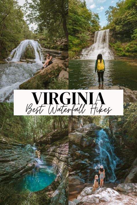 Places To Visit In Virginia, Virginia State Parks, Shenandoah Virginia, Hiking Virginia, Black Water Falls West Virginia, Hikes In Virginia, Virginia Hikes, Hiking Near Williamsburg Va, Best Hikes In Virginia