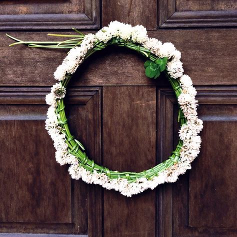 making a white clover flower crown is my tiny pleasure in spring. White Clover Flower, Crown Images, White Clover, Clover Flower, 4 Leaves, Flower Crowns, Clover Leaf, Flower Crown, Grapevine Wreath