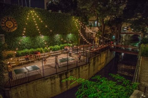 The Bake Shop That Boasts Some of The Most Amazing Views in All of Austin Austin Trip, Austin Neighborhoods, Easy Tiger, Downtown Austin, Neighborhood Guide, Beer Bar, Residential Real Estate, White Horses, Red River