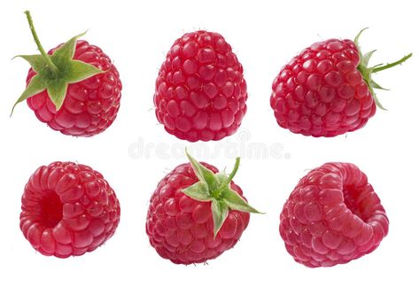 Raspberry Widget, Raspberry Reference Photo, Raspberry Reference, Raspberries Photography, Raspberry Decor, Raspberry Photography, Raspberry Drawing, Raspberry Images, Raspberry Art