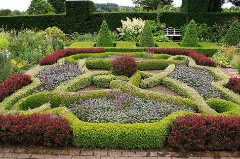 Knot garden od Buxus and Berberis Formal Landscaping, Knot Garden, Formal Garden Design, Parterre Garden, Boxwood Garden, English Garden Design, Garden Hedges, Gardens Of The World, Topiary Garden