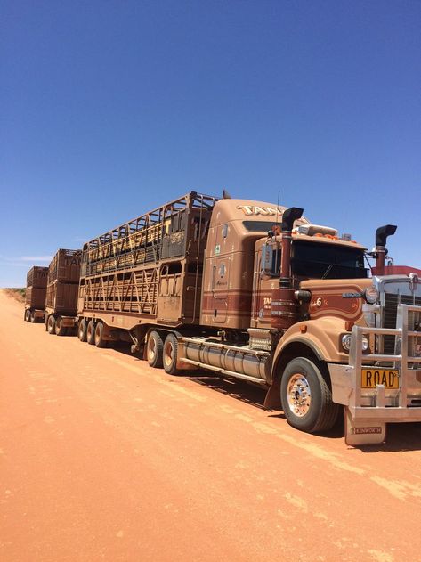 Cattle Trucks, Buy Dirt, Horse Barn Ideas Stables, Country Backgrounds, Train Truck, Outback Australia, Road Train, Truck Yeah, Alice Springs