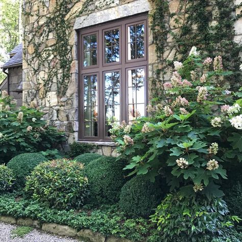 Boxwood Landscaping, Hydrangea Landscaping, Boxwood Garden, Fall Garden Vegetables, English Tudor, Front Landscaping, To The Mountains, Home Landscaping, Front Yard Garden