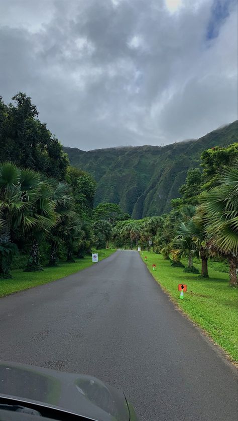 driving down a botanical garden Hawaii Nature Aesthetic, Hawaii Mountains Aesthetic, Rainy Hawaii, Hawaii Rain, Hawaiian Mountains, Hawaii Scenery, Hawaii Views, Cloudy Nature, Hawaii Wallpaper