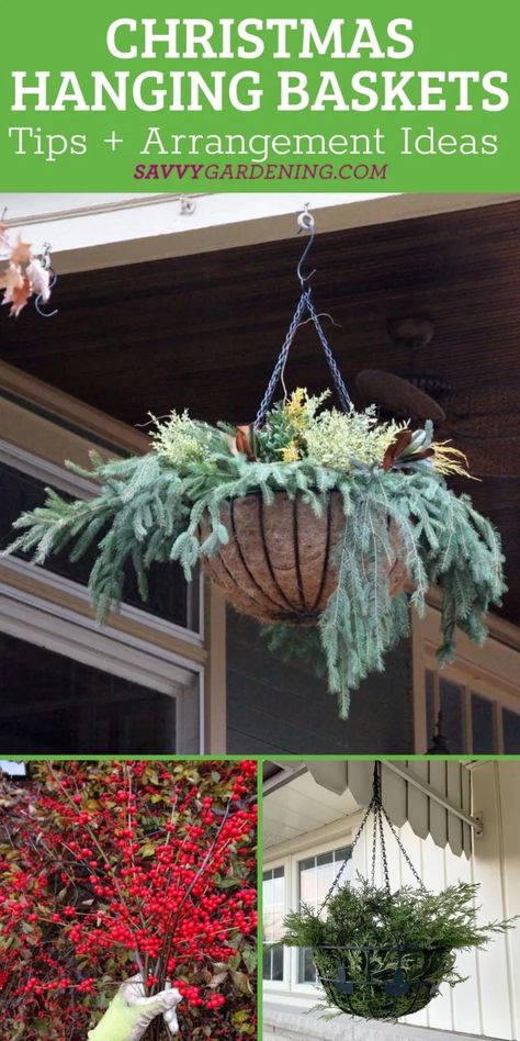 Front Porch Hanging Baskets, Porch Hanging Baskets, Winter Hanging Baskets, Hanging Baskets Diy, Christmas Hanging Baskets, Winter Outdoor Decor, Natural Holiday Decor, Winter Planters, Boughs Of Holly