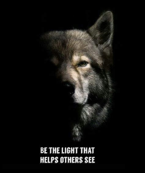 Wolfpack Quotes, Coyote Animal, Wolf Walking, Lonely Wolf, Spiritual Growth Quotes, Wolf Warrior, Wolf Warriors, Wolf Quotes, Mom Life Quotes