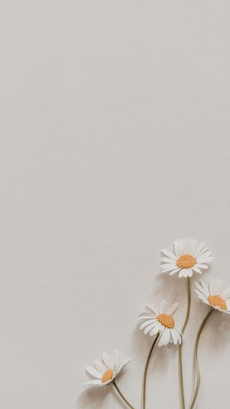 Minimalist Boho Wallpaper Iphone, Daisy Iphone Wallpaper Aesthetic, Cream Iphone Wallpaper Aesthetic, Simple Aesthetic Pics, Minimalistic Flower Wallpaper, Wallpapers For Moms, Clean Background Aesthetic, Flower Iphone Wallpaper Aesthetic, Minimalist Flower Wallpaper