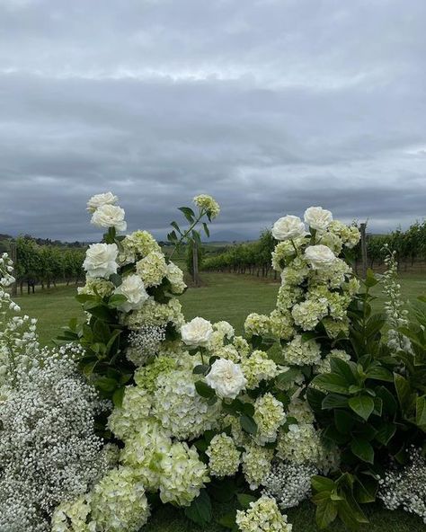 Andrea Sanchez on Instagram: "The Ceremony Installation, my favourite statement piece.
The vines complimented the florals so beautifully, I lovedddd creating this today, I was in my little flower bubble! It was greattttt 😊
Thank you Brooke & Shane 🤍
& Congratulations! 🫶🏽" White And Green Hydrangea Wedding, Green Hydrangea Bouquet, Green Hydrangea Wedding, Ceremony Installation, White Hydrangea Wedding, Hydrangea Bouquet Wedding, Wedding Collage, Hydrangea Wedding, Table Arrangements Wedding