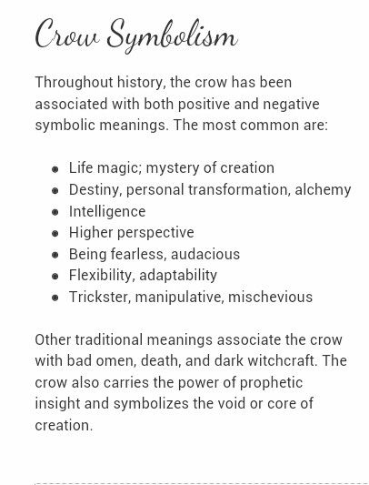 Different Types Of Spirits, 4 Crows Meaning, Crow Symbolism Meaning, Crow Symbolism, Crow Spirit Animal, Crow Totem, Animal Totem Spirit Guides, Spirit Animal Meaning, Animal Meanings