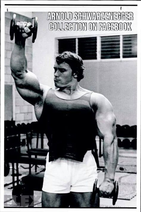 Arnold Schwarzenegger Arnold Schwarzenegger Gym, Arnold Schwarzenegger Muscle, Arnold Bodybuilding, Lee Haney, Arnold Schwarzenegger Bodybuilding, Schwarzenegger Bodybuilding, Phil Heath, Triceps Workout, Fitness Bodybuilding