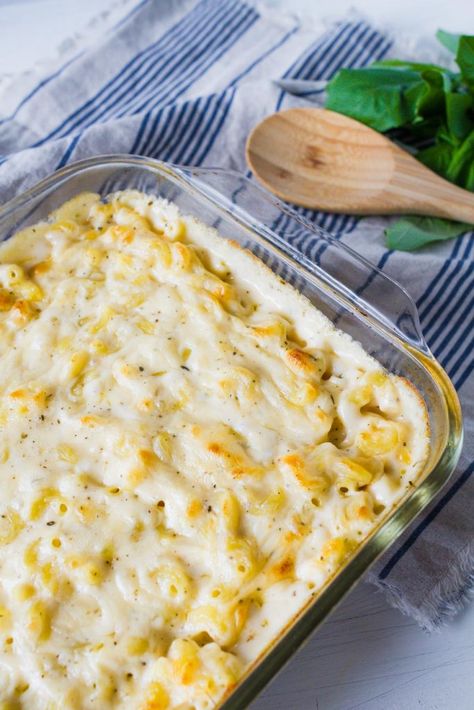 italian-macaroni-and-cheese-the-idea-room-5 Italian Macaroni And Cheese Recipe, Italian Mac And Cheese, Baked Tortellini Casserole, One Pot Chicken And Rice, Easy Enchiladas, Macaroni And Cheese Recipe, Macaroni Recipes, Macaroni N Cheese Recipe, Creamy Parmesan