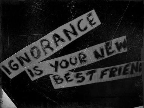 ignorance is your new best friend. - paramore, ignorance Ignorance Paramore, Paramore Lyrics, Music Is My Escape, Photography Quotes, Zach Herron, Quotes About Photography, Sing To Me, New Best Friend, Tumblr Photography