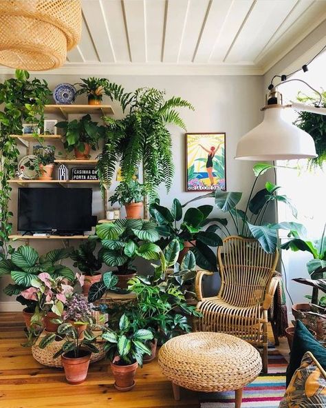 55+ Plant Decor Ideas For A Vibrant Home | Kitchen Plants Decor, Plant Aesthetics, Botanical Aesthetic, Kaktus Dan Sukulen, Sun Rooms, Tanaman Indoor, Seventh Heaven, Kitchen Plants, Hanging Plant Wall