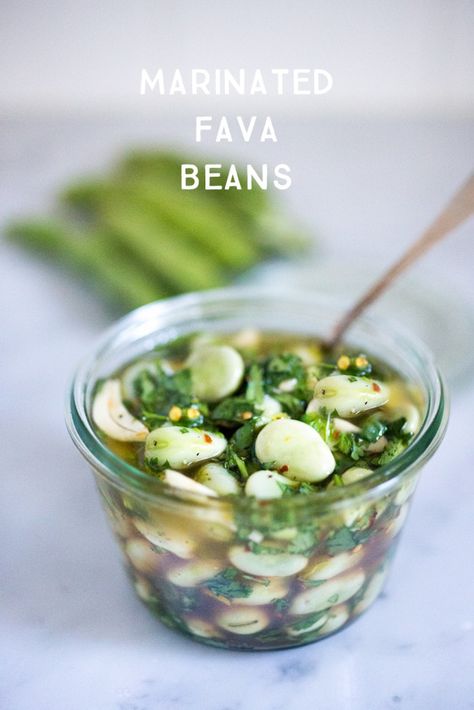 Fava Beans Recipes, Feasting At Home, Hummus And Pita, Fava Bean, Farmers Market Recipes, Olive Oil Garlic, Fava Beans, Seasoning Recipes, Bean Recipes