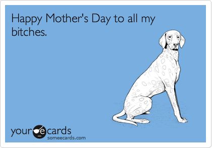 Happy Mother's Day to all my bitches. Mothers Day Meme, Happy Mother's Day Funny, Happy Mothers Day Images, Happy Mothers Day Wishes, Funny Quotes In Hindi, Happy Mother Day Quotes, Mother Day Wishes, Funny Quotes Sarcasm, Funny Quotes For Teens