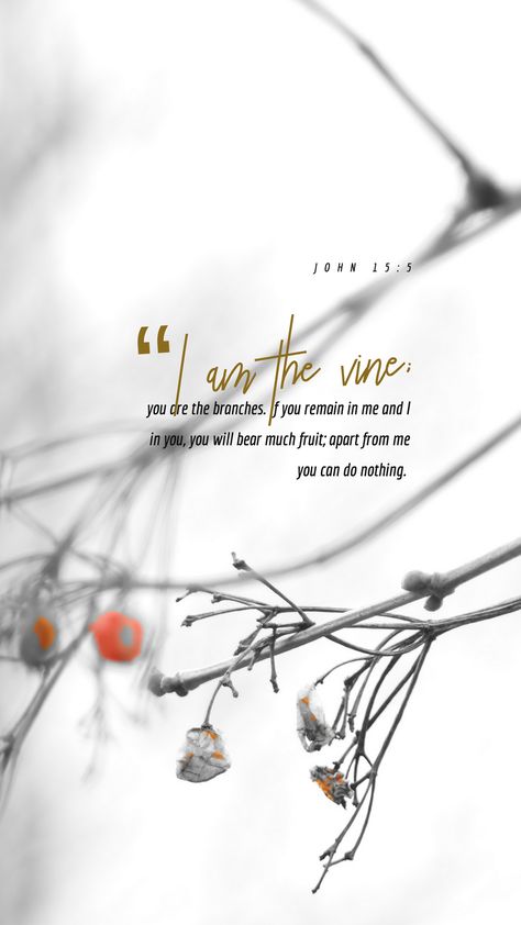 John 15 5 Wallpaper, John 15:5, Christ Wallpaper, Bible Quizzing, Free Scripture Cards, Jesus Son Of God, John 15 5, Casting Crowns, Christian Backgrounds