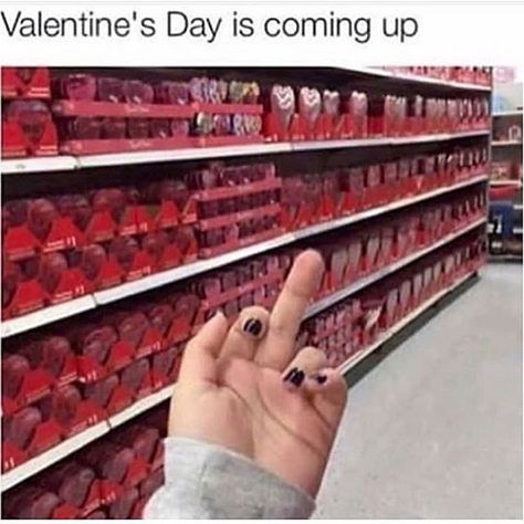 #valentinesday #valentines #valentine Hate Valentines Day, Lmao Funny, Valentines Day Memes, Funny Quotes And Sayings, Forever Alone, Single Humor, Anti Valentines Day, Single People, Valentine's Day Quotes