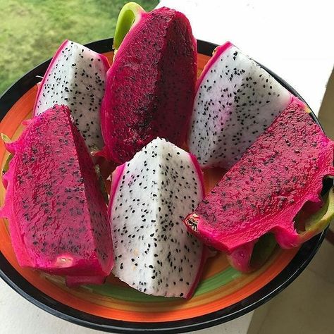 🌿RAYA KEBUN INDONESIA🌿 on Instagram: “Sarapan sehat pagi hari😘..salurkan energi posirif dengan rajin konsumsi buah segar.Buah Naga mudah di tanam dan cepat beradaptasi,.tanah…” Buah Naga, Dragon Fruit, Fruits And Vegetables, Health And Wellness, Indonesia, Fruit, Canning, 10 Things, On Instagram