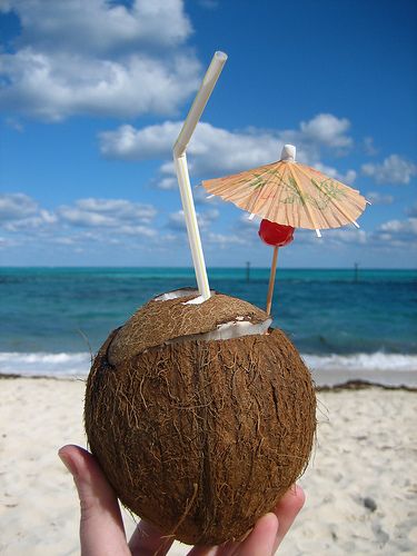 laying on a quiet, peaceful beach with a pina colada Puerto Rico Food, Tropical Food, Coconut Drinks, Beach Drinks, Island Theme, Fruit Box, Tropical Drink, Pretty Drinks, Ugly Sweater Party