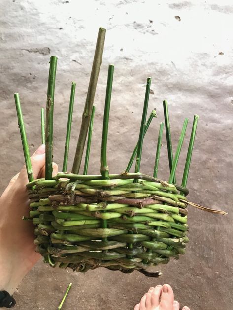 Diy Basket Weaving, Vbs Craft, Lavender Crafts, Weaving For Kids, Basket Weaving Diy, Natural Branches, Kids Baskets, Grass Basket, Natural Baskets