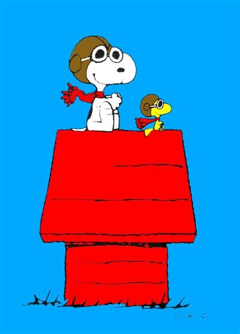 Pin On Snoopy Snoopy And The Red Baron, Red Baron Snoopy, Snoopy Red Baron, Charlie Brown Wallpaper, Brown Cake, Snoopy Drawing, Snoopy Dog House, Woodstock Snoopy, Cartoon Airplane