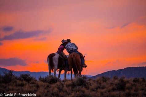 Horseback kiss Cowboy Sunset Painting, Vincent Core, Cowboy Poses, Sunset Cowboy, Cowboy Collage, Cowboy Scene, Cowboy Sunset, Cowboy Artwork, Western Sunset