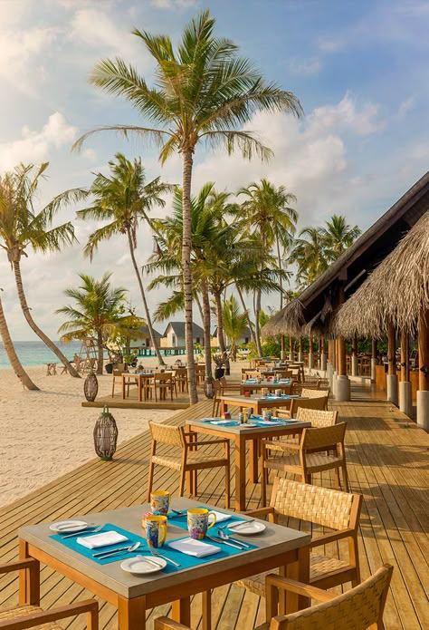 Beach Club Design Architecture, Tropical Beach Restaurant, Beach Restaurant Design Outdoor Seating, Beach Cafe Design, Beach Resort Aesthetic, Fushifaru Maldives, Thai Resort, Beach Restaurant Design, Beach Resort Design