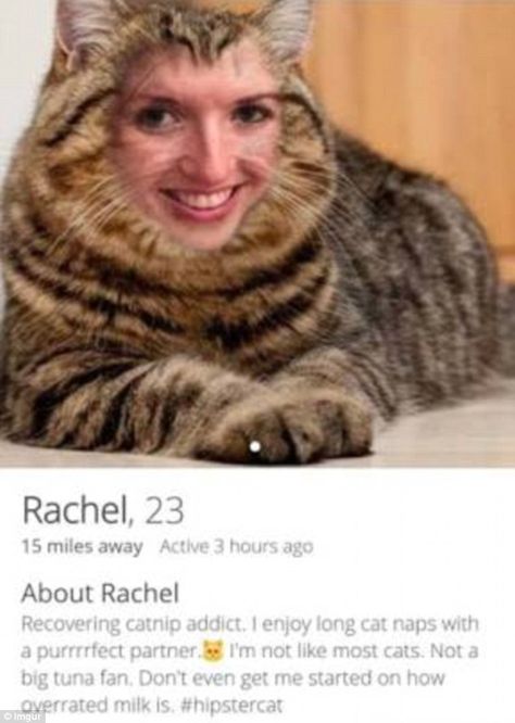 Cat tinder profiles.........Evil!!! Tinder Profiles, Tinder Humor, Pleated Jeans, Tinder Profile, Long Cat, Hipster Cat, Flirting Moves, Weird Things, Dating Pictures