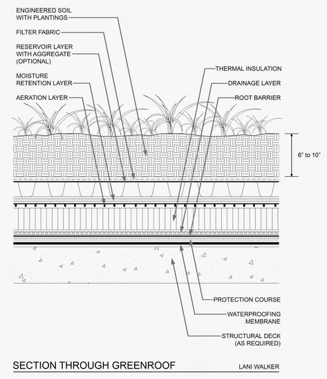 Green Roof Section Architecture, Green Roof Detail Section, Green Roof Section, Green Roof Detail, Roof Section, Urban Collage, Construction Details Architecture, Backyard Storage Sheds, Brick Construction