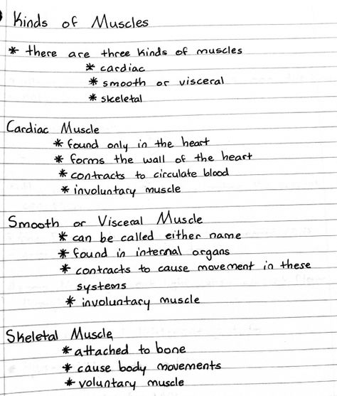 Muscular System Anatomy Notes, Muscle Notes, Muscular System Notes, Medical Assistant Notes, Life Science Notes, Medical Terminology Study, Medical Assistant Student, Medical Study, Medical Notes