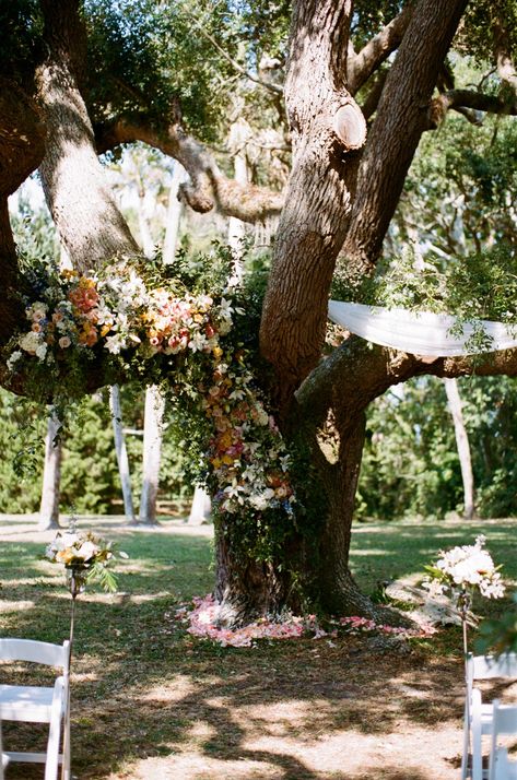 Wedding Ceremony Under Tree, Ceremony Under Tree, Ribault Club Wedding, Wedding Chuppah, Floral Tree, Flower Installation, Wedding Ceremony Flowers, Ceremony Flowers, Flower Ideas