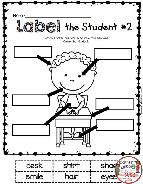 LABELING - back to school in kindergarten worksheet - practice CAP and matching - cut and paste label the student #kindergarten #backtoschool #labeling Kindergarten Drawing, Back To School Worksheets, Worksheets For Kindergarten, Kindergarten Worksheets Printable, Kindergarten Lesson Plans, Free Lesson Plans, Kindergarten Writing, School Worksheets, Beginning Of School