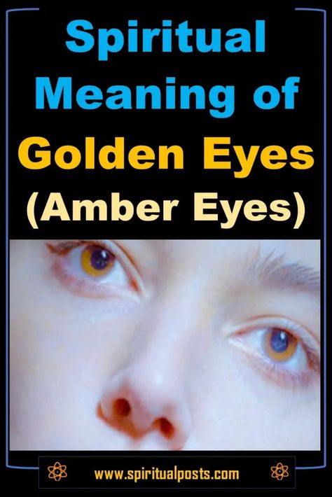 Eye Color Spiritual Meaning, Blue Eyes Spiritual Meaning, Golden Amber Eyes, Eyes Spiritual, Amber Eyes Color, Spiritual Eye, Eye Symbolism, Eye Facts, Eye Meaning