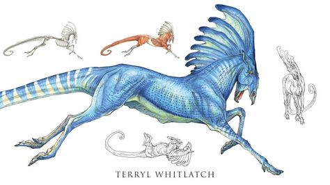 Book Review: Master Alien Anatomy with SCIENCE OF CREATURE DESIGN | Nerdist Terryl Whitlatch, Animal Anatomy, Creature Drawings, Fantasy Creatures Art, Mythical Creatures Art, Creature Concept Art, Mystical Creatures, Creature Concept, Magical Creatures