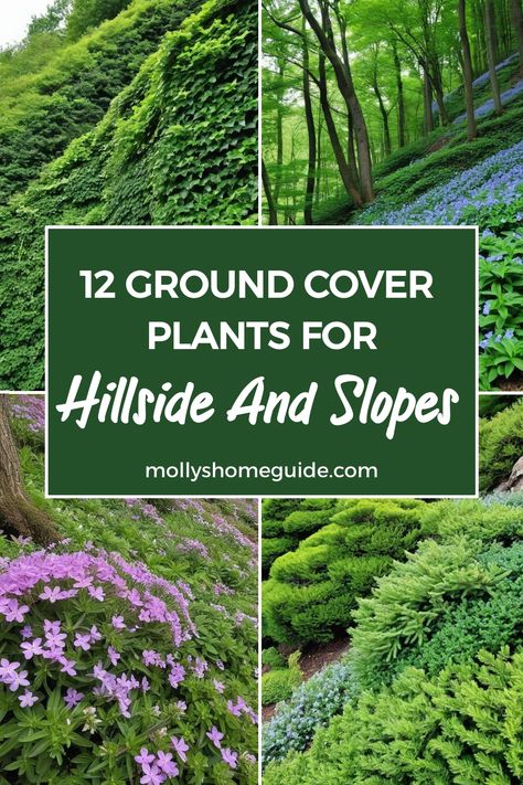 Discover the best ground cover plants for slopes and hillsides to add beauty and prevent erosion in your garden. Explore a variety of options, including evergreen varieties that bloom all summer long. Create a stunning landscape with these plants suitable for sloping gardens. Whether you're looking for shrubs for erosion control or ground cover plants for hillsides, we've got you covered. Implement these landscaping ideas to transform your yard into a lush oasis with effective ground covers. Steep Hillside Landscaping Sloped Yard, Landscape Ideas On A Hill Sloped Yard, Shade Ground Cover Walkable, Fast Growing Ground Cover For Slopes, Front Yard Slope Landscaping Ideas, Plants For Hillside, Slope Garden Ideas, Plants For Slopes, Steep Hill Landscaping