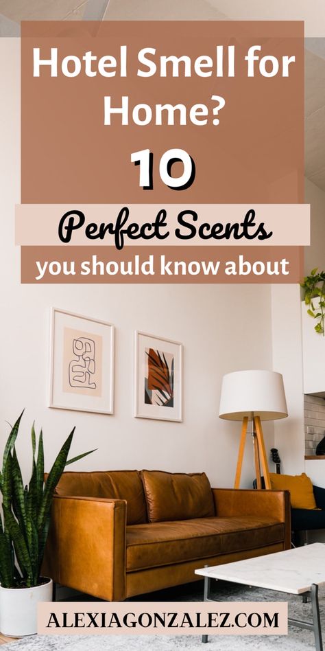 Best Home Scents, Westin Hotel Scent Diy, Luxury Home Fragrance, Smell Good House Hacks, Smell Good House, Smell Hacks For Home, Hotel Scents, Hacks For Home, Make Your Home Smell Amazing