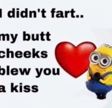 A Minion, Funny Pix, Mia 3, Very Funny Pictures, Silly Pictures, Hysterically Funny, Quick Jokes, Really Funny Pictures, Really Funny Memes