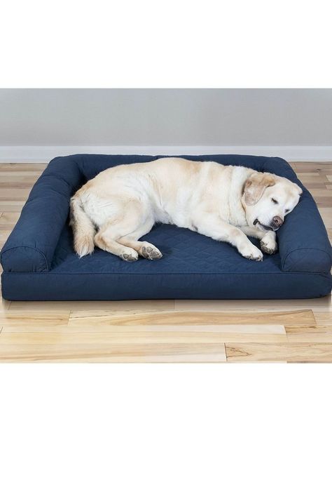 Bed Pads, Cool Dog Beds, Lazy Dog, Dog Pet Beds, American Kennel Club, Dog Mat, Dog Beds, You Know It, Pet Mat