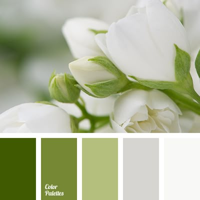 Color Palette #3290 Flat Bedroom, In Color Balance, Color Concept, Color Palette Ideas, Palette Ideas, Green Palette, Green Colour Palette, Design Seeds, Color Palette Design