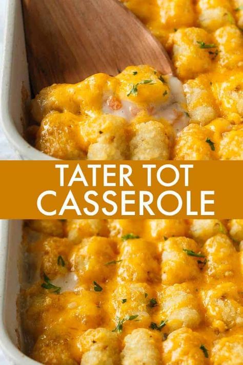 Tator Tot Recipe, Best Tater Tot Casserole, Easy Tater Tot Casserole, Cheesy Tater Tots, Cheeseburger Tater Tot Casserole, Special Diet Recipes, Tater Tot Recipes, Paleo Brownies, Tofu Tacos