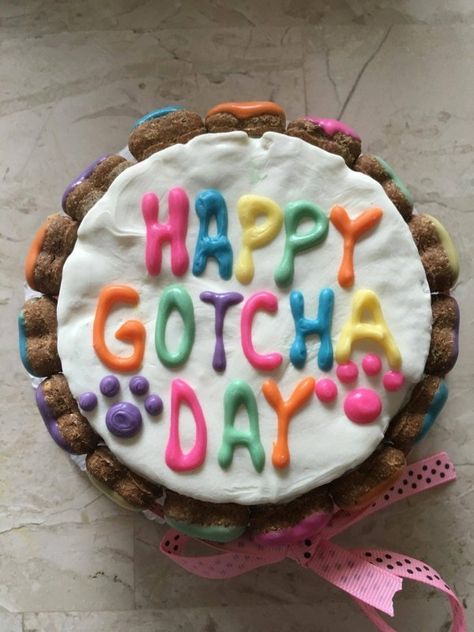 Happy Gotcha Day, Pet Branding, Happy Birthday Quotes Funny, Gotcha Day, Birthday Meme, Dog Treat Recipes, Puppy Pictures, Dog Stuff, Treat Recipe