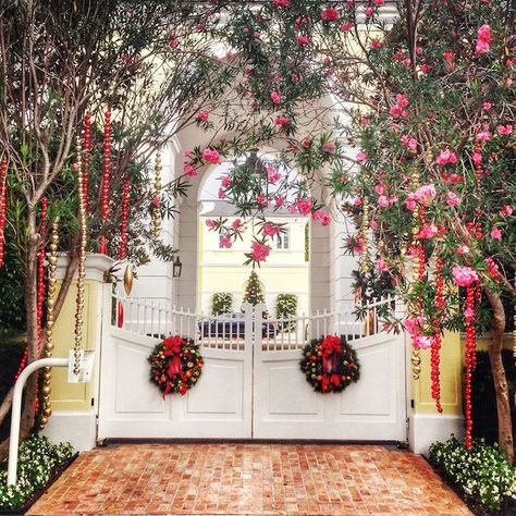 Palm Beach Christmas, Palm Beach Restaurants, Happy Christmas Eve, Traditional Dining Rooms, Palm Beach Style, Tropical Christmas, Chinoiserie Chic, Beach Christmas, Beach Chic