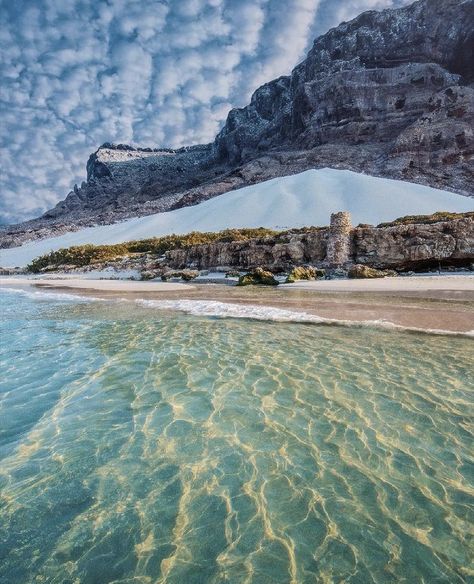 Socotra Island, New York City Buildings, Socotra, Amazing Nature Photos, Bucket List Destinations, Yemen, Archipelago, Unesco World Heritage, Unesco World Heritage Site