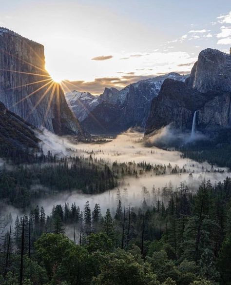 Sunrise at Yosemite National Park, El Capitan, Yosemite Falls and fog in the valley. Yosemite National Park Photography, National Parks Photography, Scenery Pictures, Beach Please, Tiger Art, Yosemite Valley, Photo Vintage, Us National Parks, Zion National Park