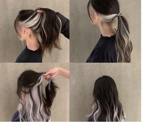 silver, hair, ponytail, dye Brown And Silver Hair, Brown Hair With Silver Highlights, Under Hair Color, Black And Silver Hair, Purple Blonde, Dyed Hairstyles, Silver Hair Dye, Hair Color Inspiration, Underneath Hair Color