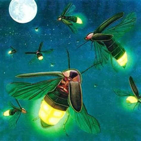 Luciérnagas - Fireflies Firefly Painting, Lighting Bugs, Lightning Bugs, Fireflies In A Jar, Firefly Art, Catching Fireflies, Tap Tap, Slaap Lekker, Insect Art