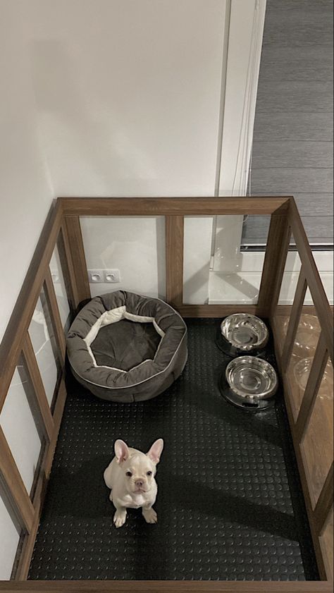 Frenchie Room Decor, Dog Setup In Apartment, New Puppy Area Ideas, Small Dog Bedroom, Play Pen For Dogs, Cute Dog Area In Bedroom, Puppy Cage Set Up, Small Dog Play Area Indoor, Puppy Cage Ideas