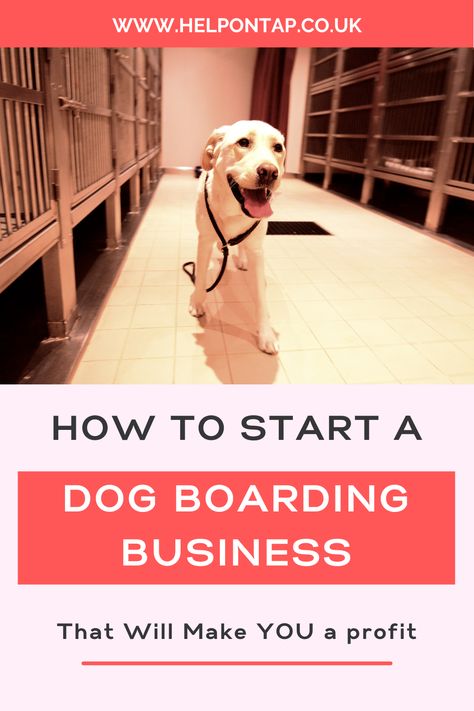 How to start a dog boarding business that will be profitable. Tips of what you need to start up and what documentation is required for a dog boarding kennel. Animal Boarding Facility Kennel Ideas, Dog Boarding Business Ideas, Starting A Dog Boarding Business, Starting A Dog Kennel Business, Opening A Dog Boarding Business, Diy Dog Boarding Kennels, How To Start A Dog Kennel Business, Dog Kennel Business Ideas, Boarding Facility Ideas Dog