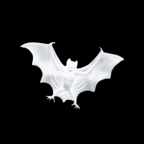 Black Vampire, Icon Widget, White Png, Bat Halloween, Apple Icon, Galaxy Samsung, Halloween Bat, Halloween Icons, Iphone Layout