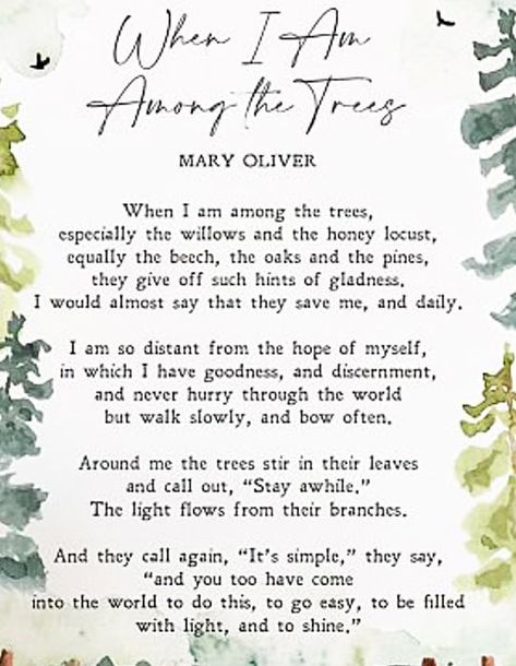 When I Am Among The Trees Mary Oliver, Mary Oliver Poetry, Mary Oliver Tattoo, Mary Oliver Quotes, Mary Oliver Poems, Mary Oliver, Simple Quotes, Karma Quotes, Joy Of Life